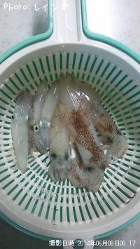 ¥Ò¥¤¥«¡õ¥ä¥ê¥¤¥«