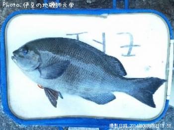 �����᥸��