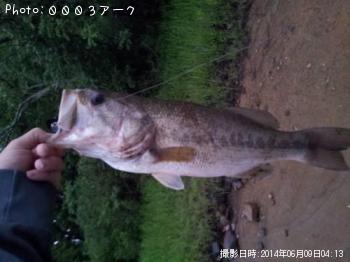 ¥Ö¥é¥Ã¥¯¥Ð¥¹