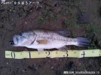 ¥Ö¥é¥Ã¥¯¥Ð¥¹