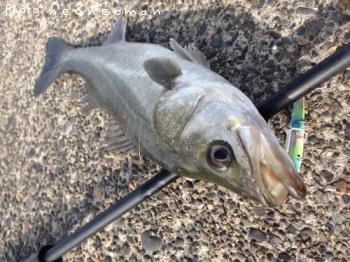 �����Х�