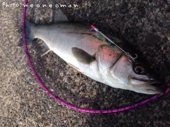 �����Х�