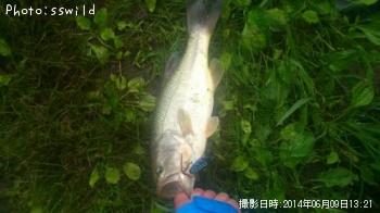 �֥�å��Х�