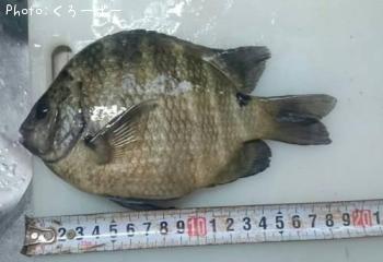 ���ޥ��������