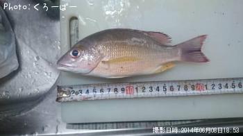 �����ե�����