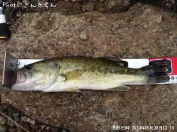 �֥�å��Х�