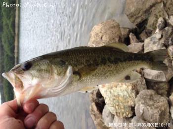 �֥�å��Х�