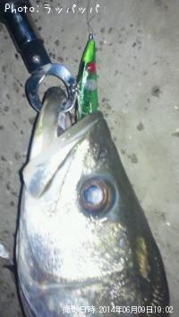 �����Х�