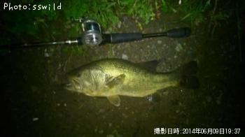 �֥�å��Х�