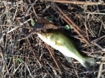 �֥�å��Х�