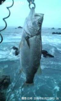 �ҥ饹����