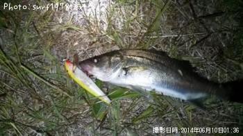 �����Х�