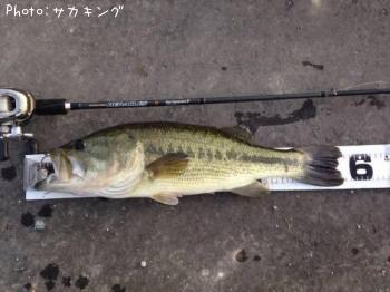 �֥�å��Х�