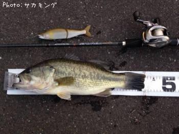 �֥�å��Х�