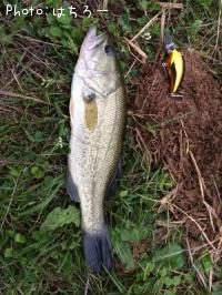 �֥�å��Х�