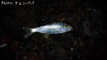 ���Υ���