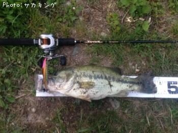 �֥�å��Х�