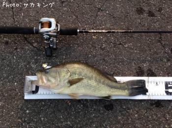 ¥Ö¥é¥Ã¥¯¥Ð¥¹