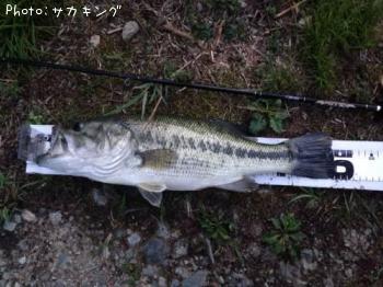 �֥�å��Х�