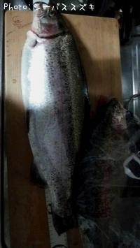 ��������إåɥȥ饦��