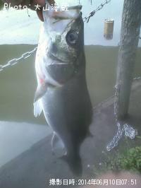 �����Х�