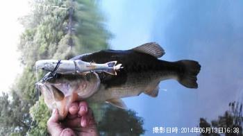 �֥�å��Х�