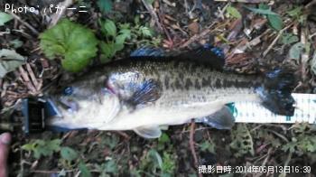 �֥�å��Х�