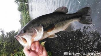 ¥Ö¥é¥Ã¥¯¥Ð¥¹