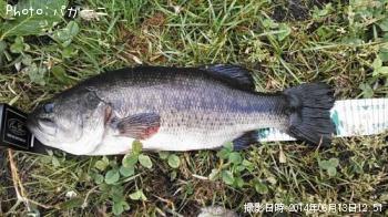 ¥Ö¥é¥Ã¥¯¥Ð¥¹