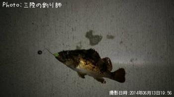 クロソイ