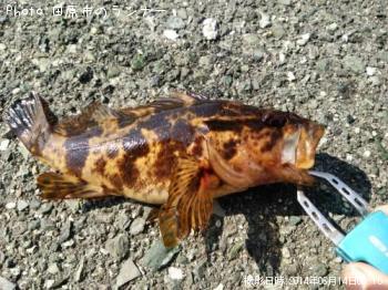 �����Υ���Х�