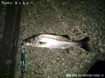 �����Х�