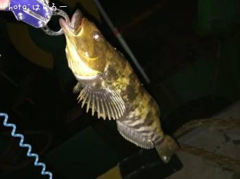 �����ʥ�