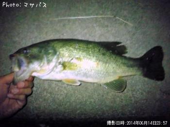 �֥�å��Х�