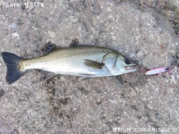 �����Х�