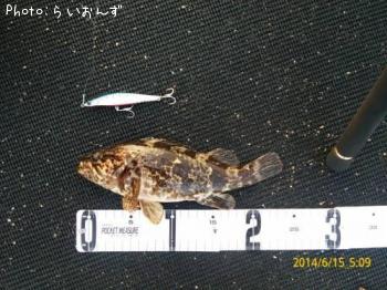 �����Υ���Х�