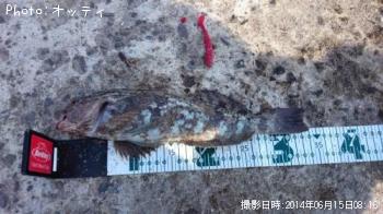 �����ʥ�