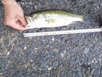 ¥Ö¥é¥Ã¥¯¥Ð¥¹