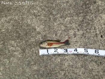 �֥�å��Х�