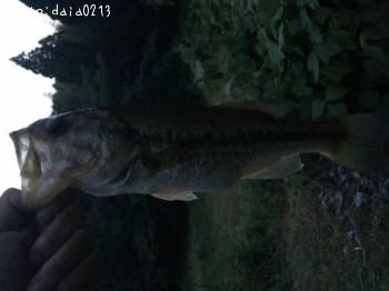 �֥�å��Х�