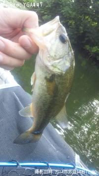 ¥Ö¥é¥Ã¥¯¥Ð¥¹