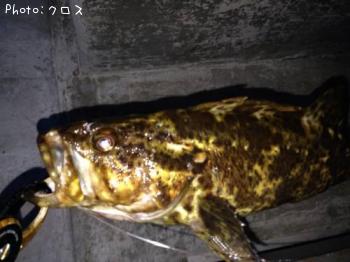 ¥Ù¥Ã¥³¥Ä¥¾¥¤