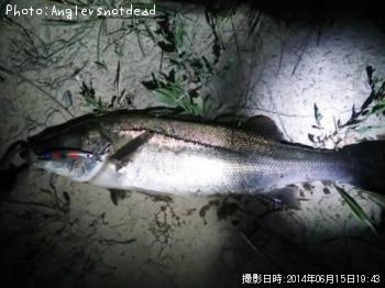 �����Х�