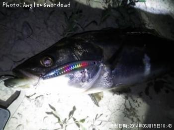 �����Х�