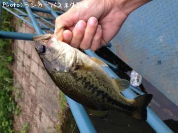 �֥�å��Х�