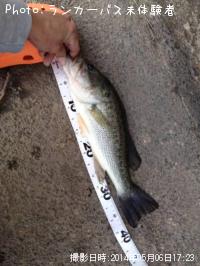 ¥Ö¥é¥Ã¥¯¥Ð¥¹