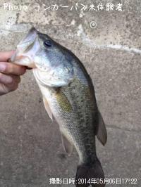 ¥Ö¥é¥Ã¥¯¥Ð¥¹