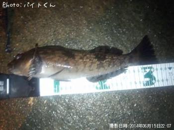 �����ʥ�