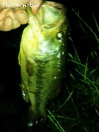 �֥�å��Х�