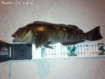 �����ʥ�